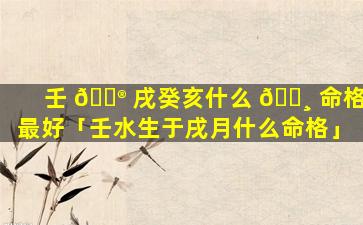 壬 💮 戌癸亥什么 🌸 命格最好「壬水生于戌月什么命格」